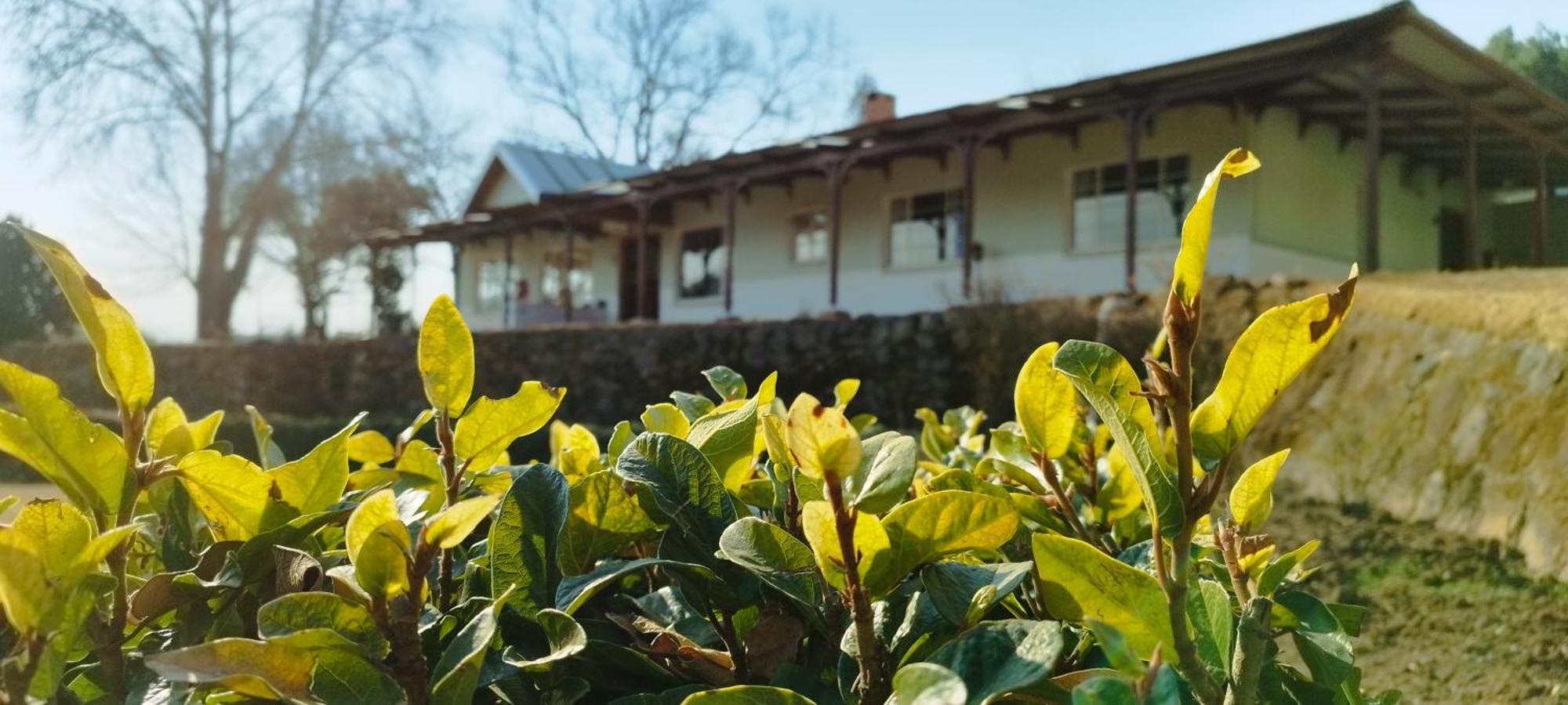 Bed and Breakfast Tumble In Underberg Exteriér fotografie